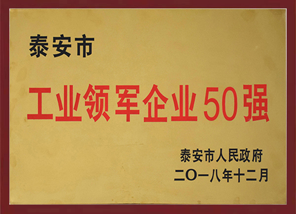 泰安市工業(yè)領(lǐng)軍企業(yè)50強(qiáng)